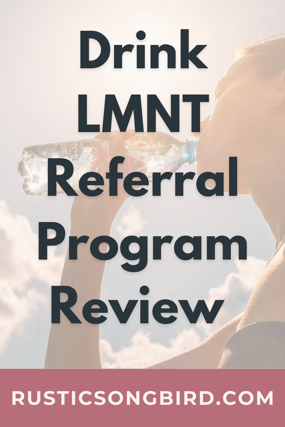 LMNT Referral Program blog post pin